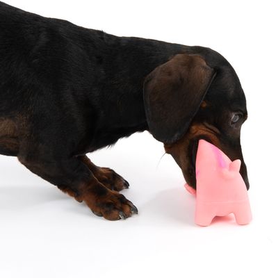 Hundespielzeug Latex-Schwein mit Stimme