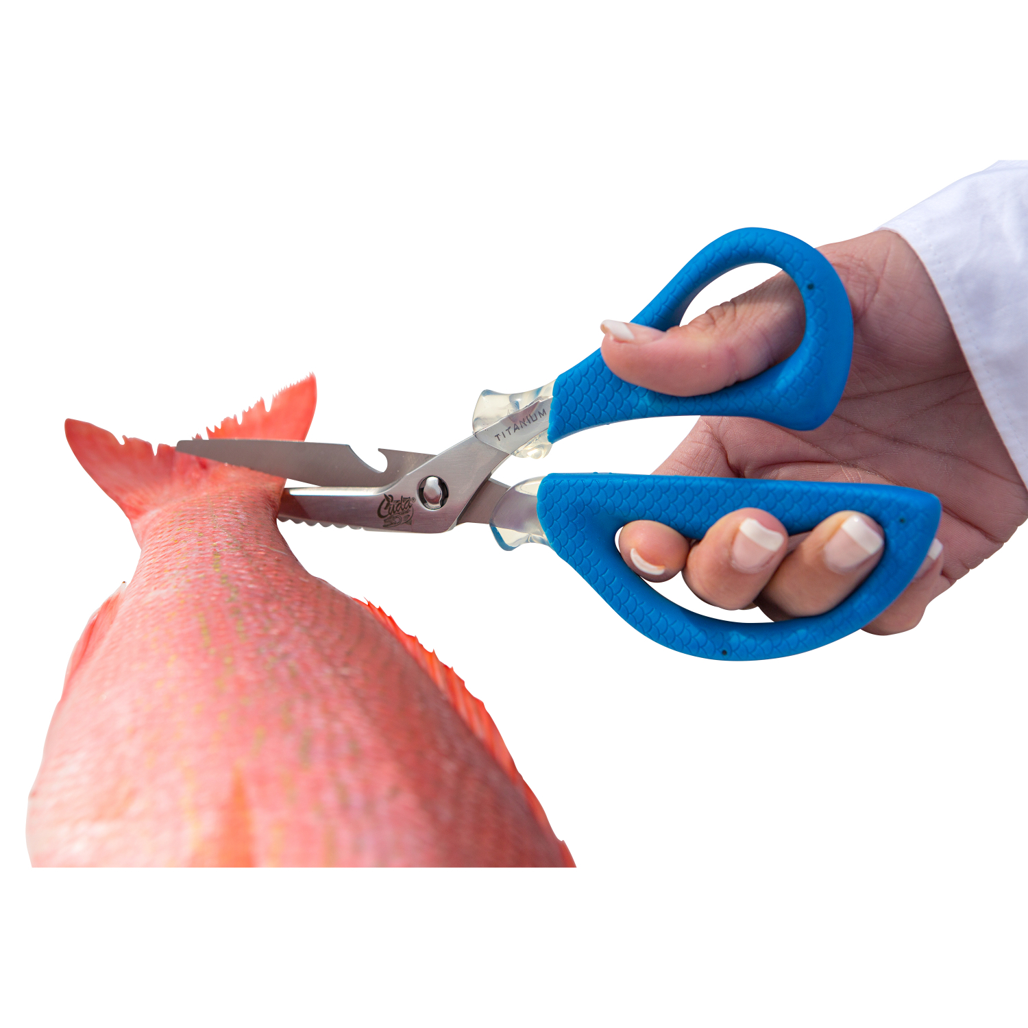 Cuda Schere Marine Shears (20 cm)