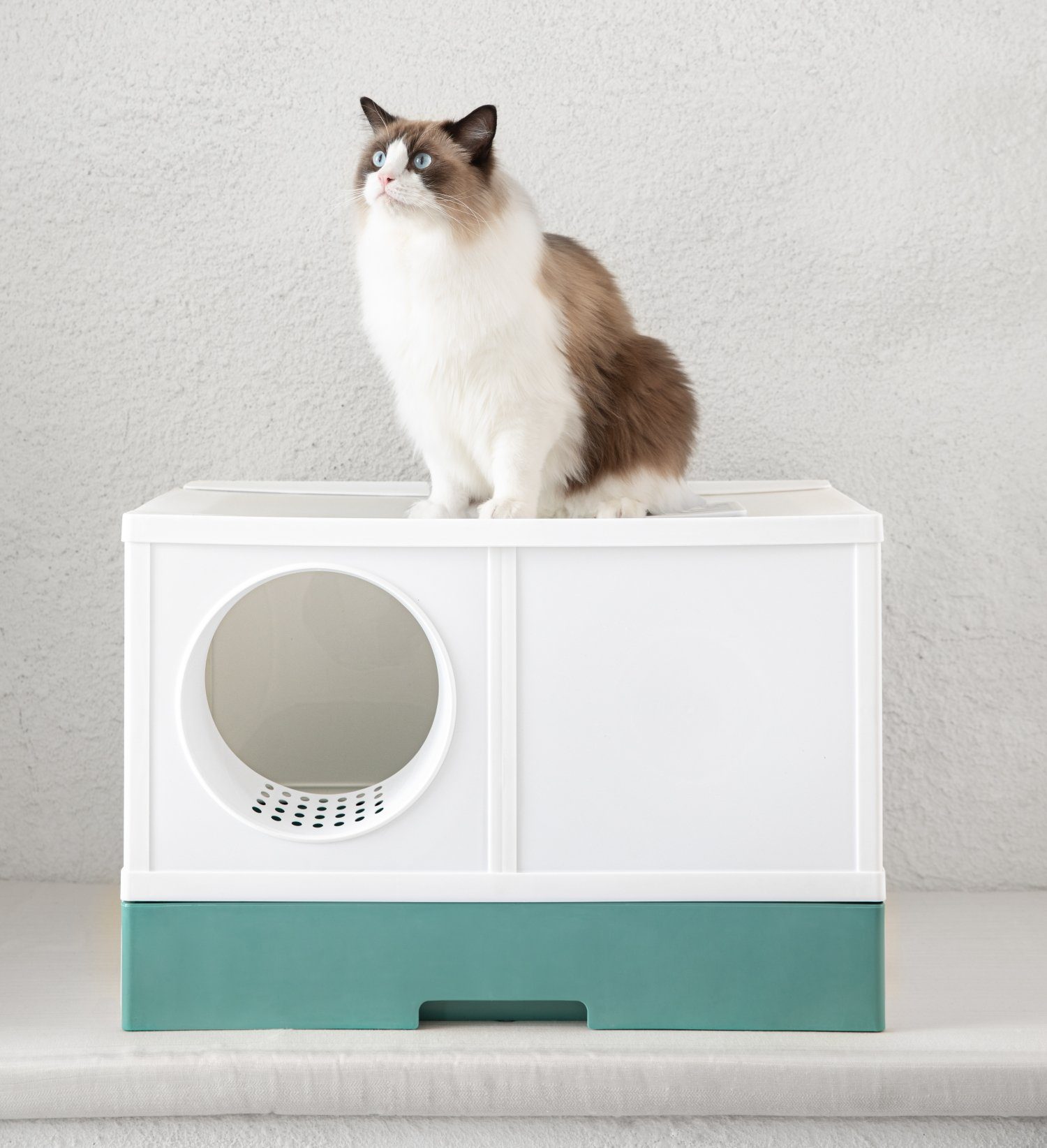 PeTraum Katzentoilette Das Katzenklo TIGO-X für große Katzen, XXL-Katzentoilette, L69 x B44 x H45,5cm