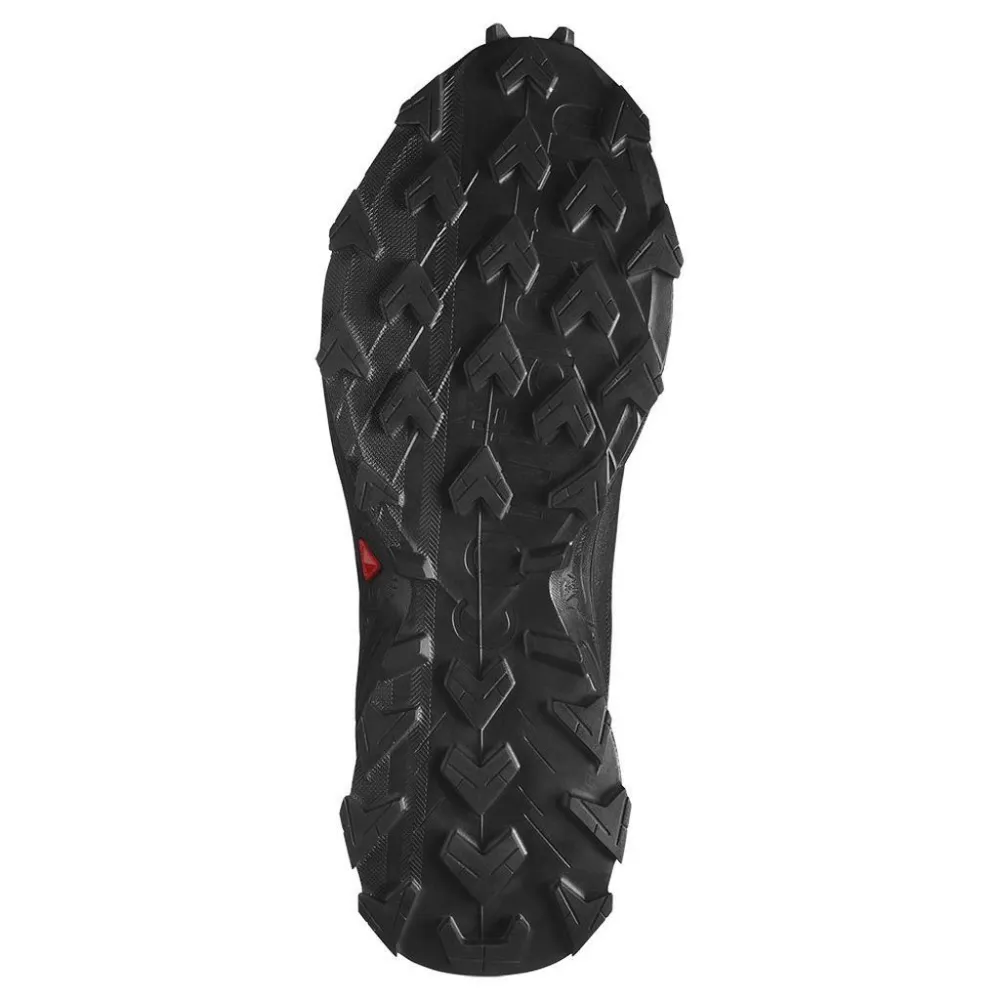 Salomon Alphacross 5 GTX L47310900 / schwarz