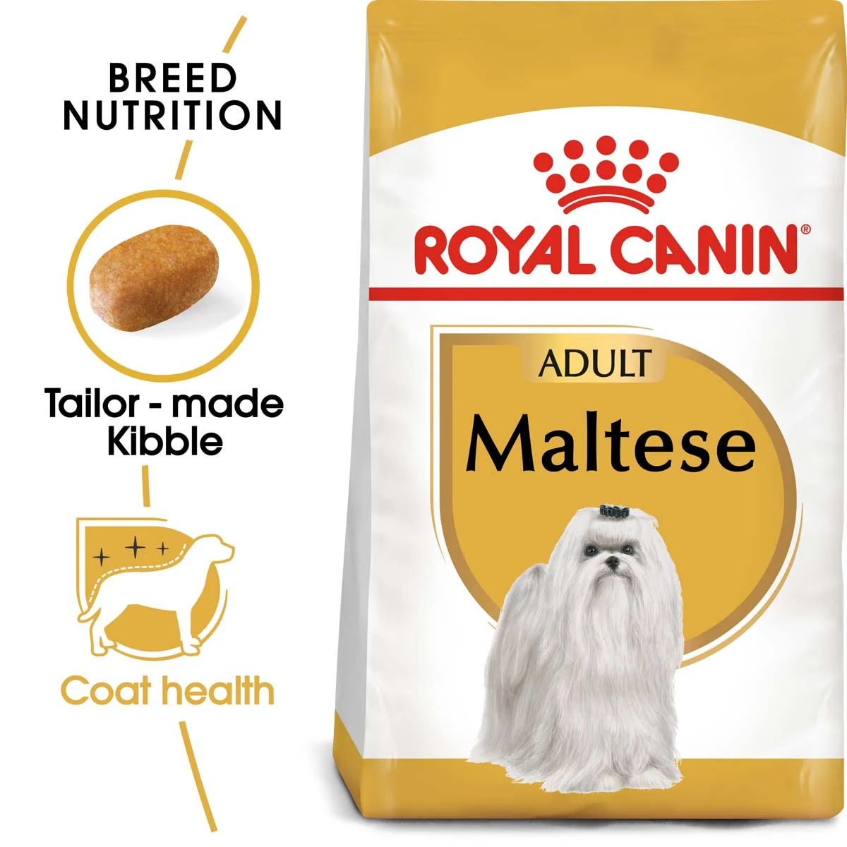 ROYAL CANIN Maltese Adult Hundefutter trocken kaufen bei ZooRoyal