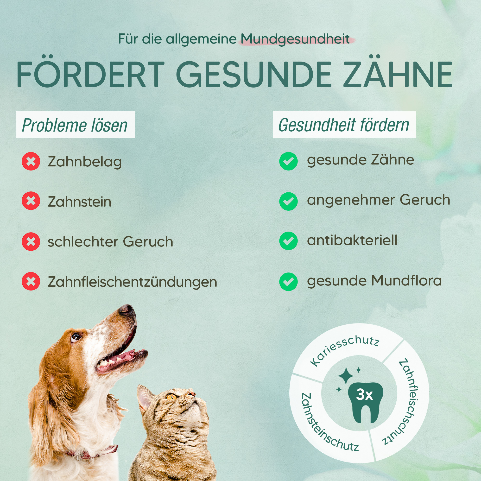 Pawlie's Zahnpflege Pawlie's Dentalspray Zahnpflege