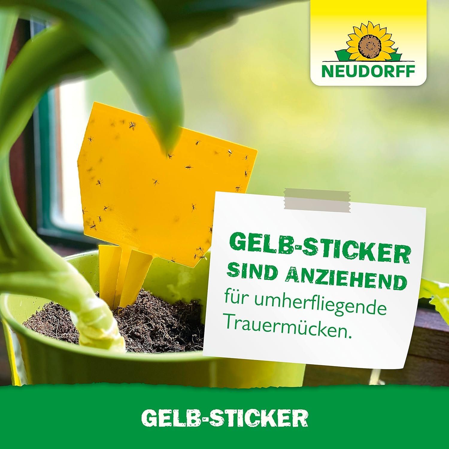 Neudorff Insektenfalle Gelb-Sticker, gegen kleine fliegende Schädlinge wie Trauermücken, insektizid frei