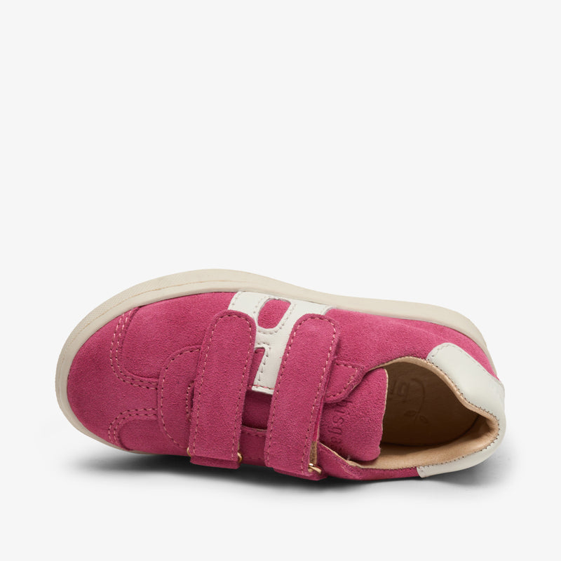 bay v fuxia - Rosa
