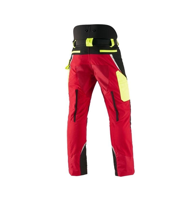 e.s. Forst-Schnittschutz Bundhose, KWF