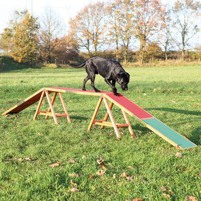 Trixie Dog Activity Agility Steg