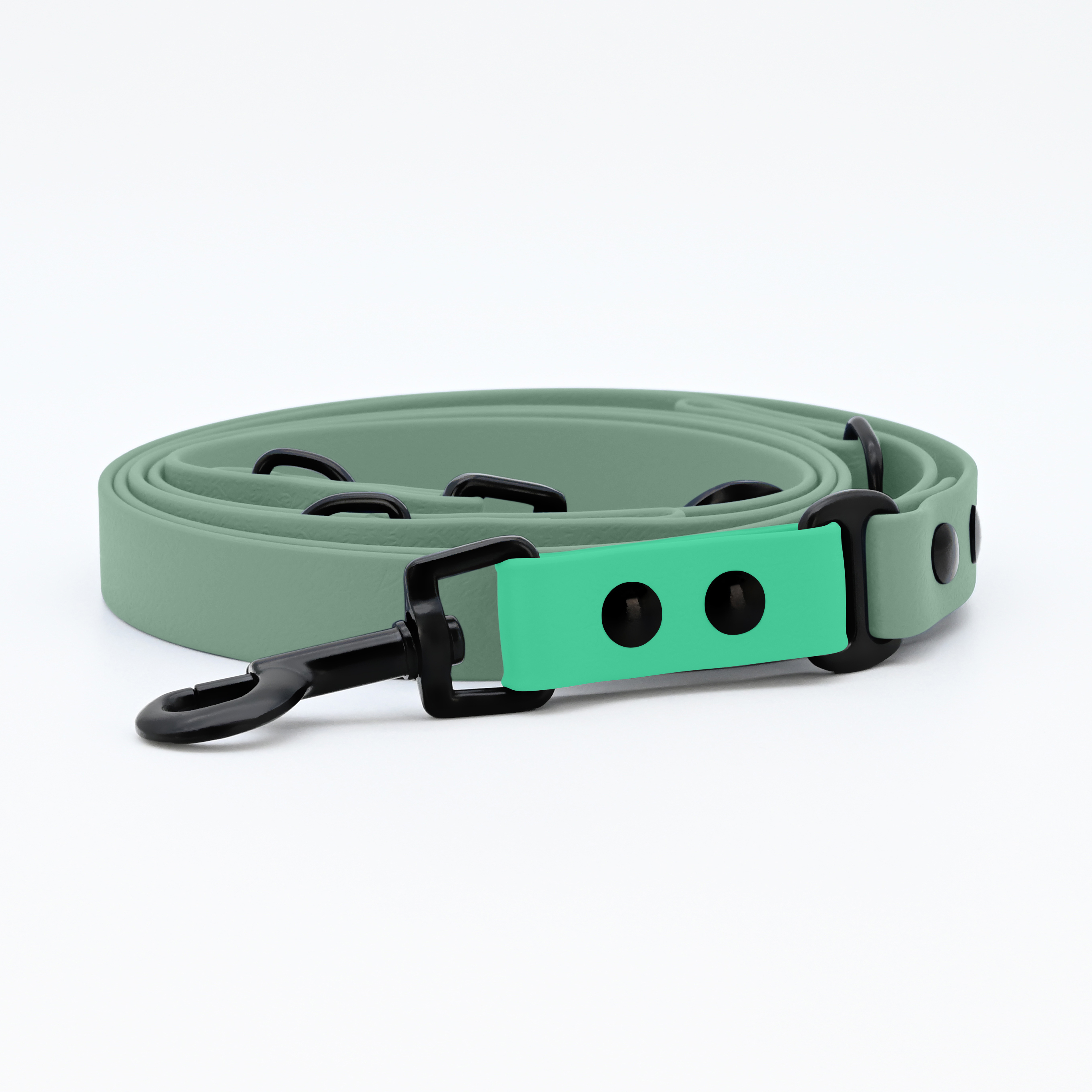 THE DOG IDEA Hundeleinen THE DOG IDEA Biothane Hundeleine Sage