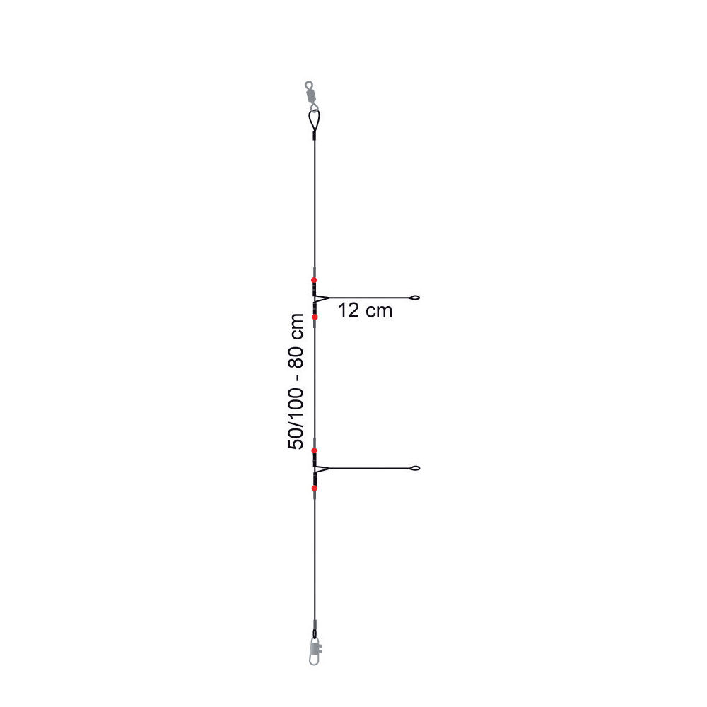 Leader di mare Flashmer giapponese