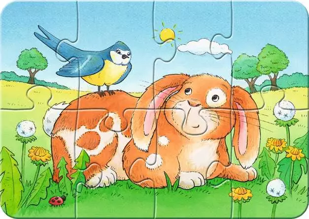 Kinderpuzzle ab 2 Jahren - Niedliche Haustiere - 2 + 4 + 6 + 8 Teile