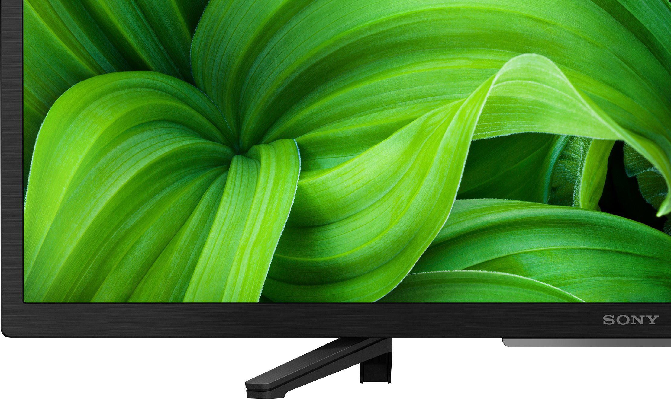 Sony KD-32W800/1 LCD-LED Fernseher (80 cm/32 Zoll, WXGA, Android TV, BRAVIA, HD Heady, Smart TV, Triple Tuner, HDR)