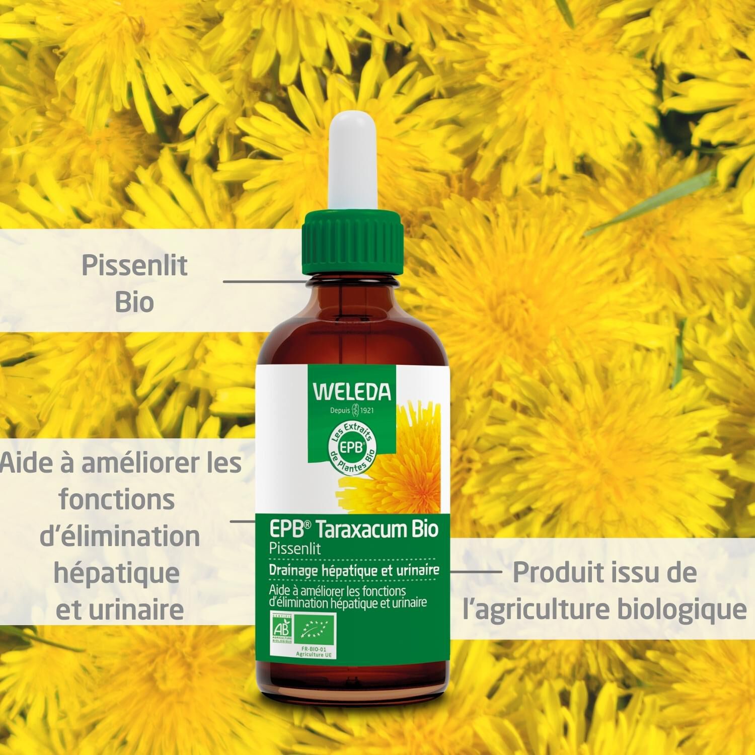 Weleda EPB® Taraxacum Bio Drainage Hépatique et Urinaire - Complément Alimentaire Naturel - 60ml