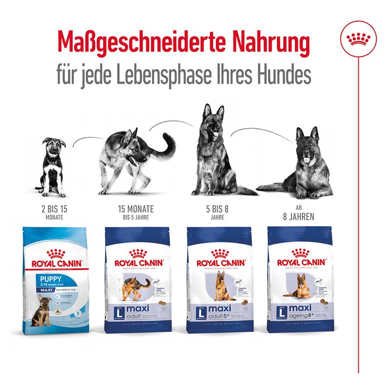 Royal Canin Maxi Adult 5+
