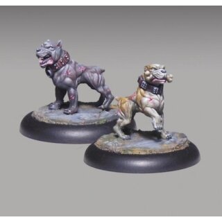 Pit Dogs