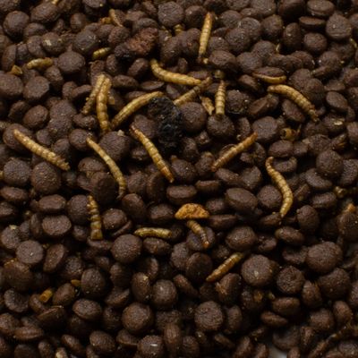 JR Garden Grainless Igelfutter