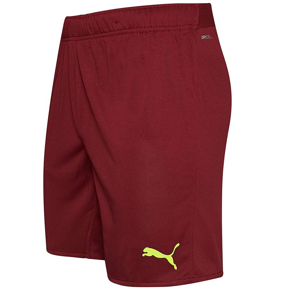 Borussia Dortmund BVB PUMA Herren Torwart Shorts 759103-52
