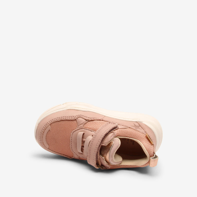 pan e tex rose - Rose