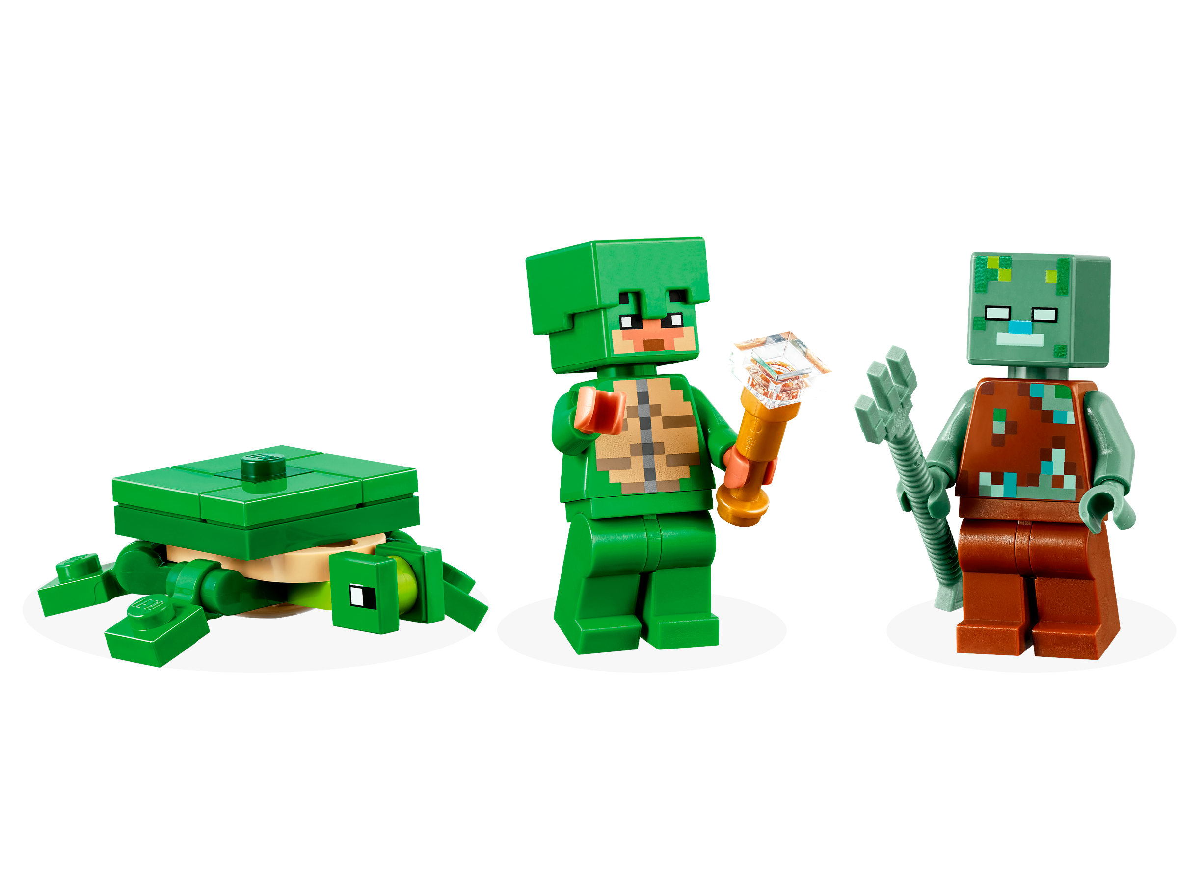 Das Schildkrötenstrandhaus 21254