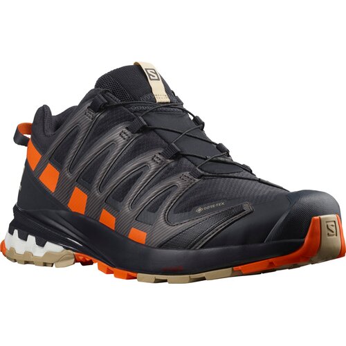 HERREN TRAILRUNNINGSCHUHE XA PRO 3D V8 GTX