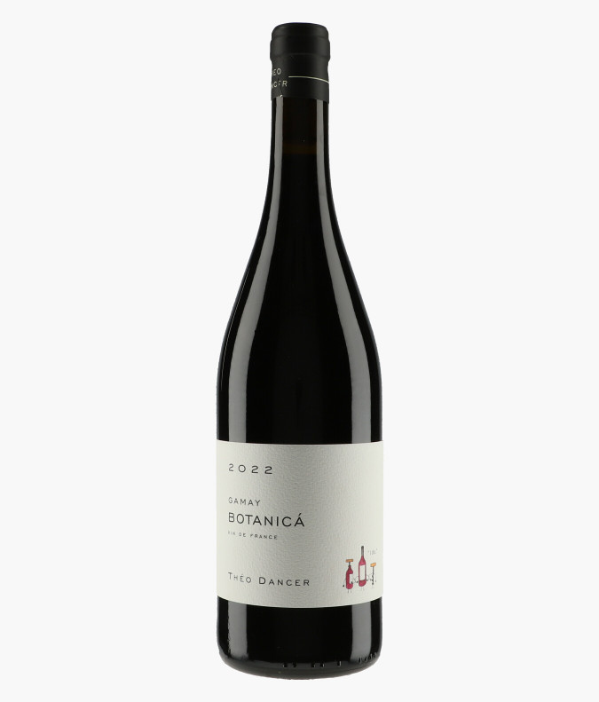 Vin de France Gamay 2022DANCER THEO