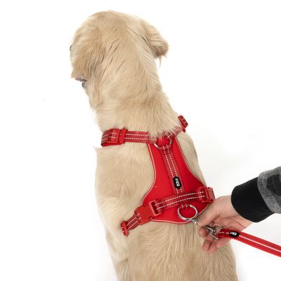 TIAKI Hundeleine Reflective Rubber, rot