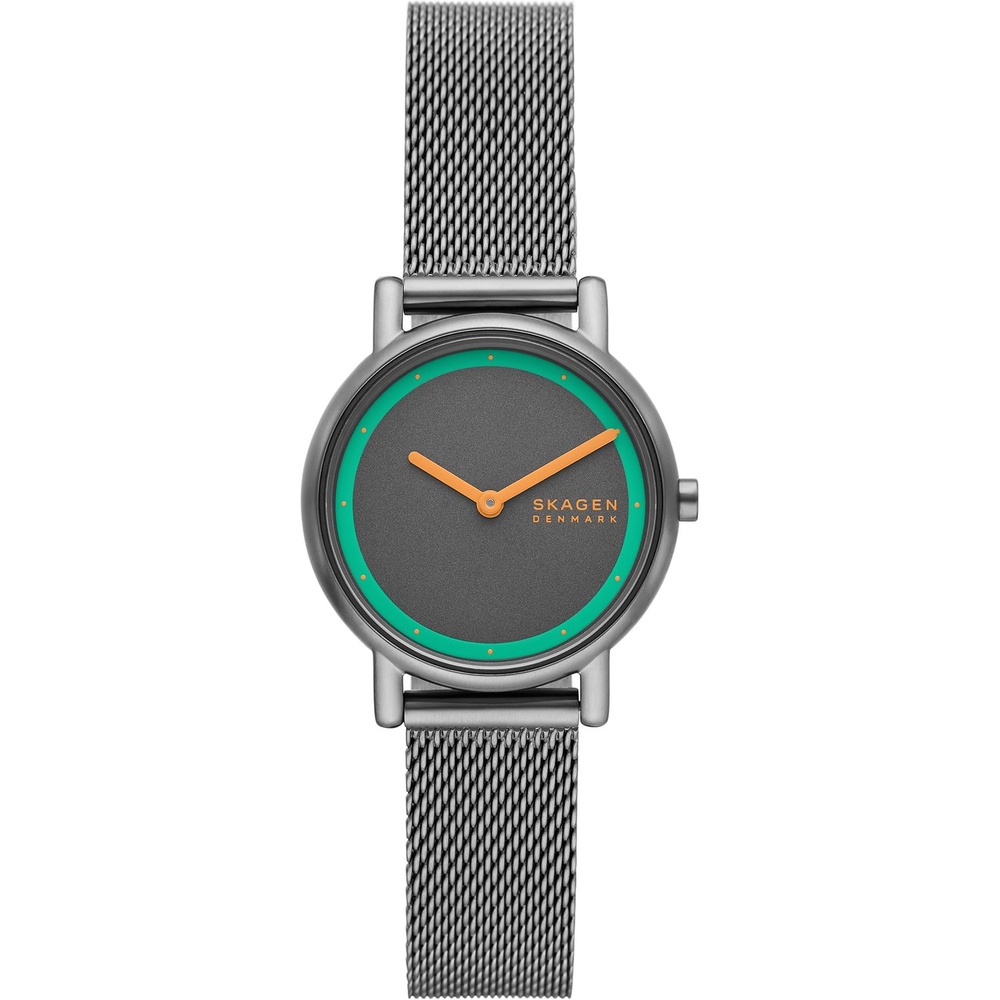 Skagen Montre pour femme Acier inoxydable Montre