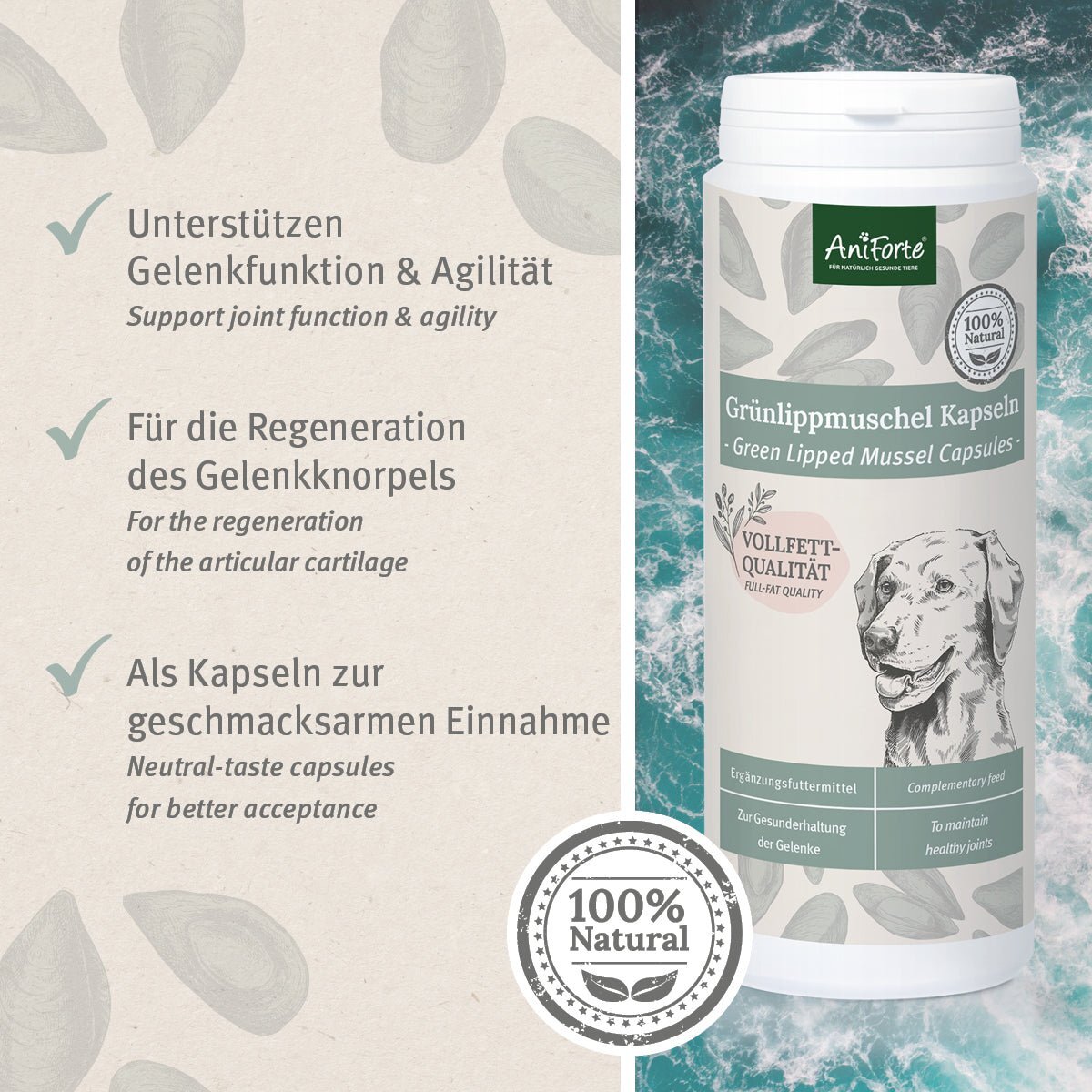 Aniforte Ergänzungsfutter & Aufzucht Aniforte Grünlippmuschel Kapseln 300 Stk