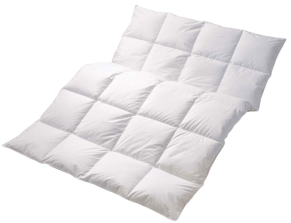 CENTA-STARDaunen-Einziehdecke 530g