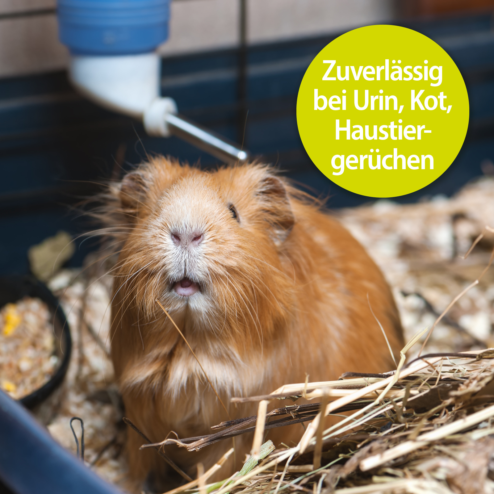 Bactador Käfigreinigung & Hygiene Bactador Käfig Geruchsentferner 500ml
