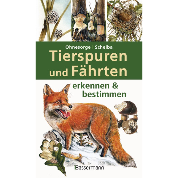 Tierspuren und Fährten erkennen & bestimmen - Ratgeber