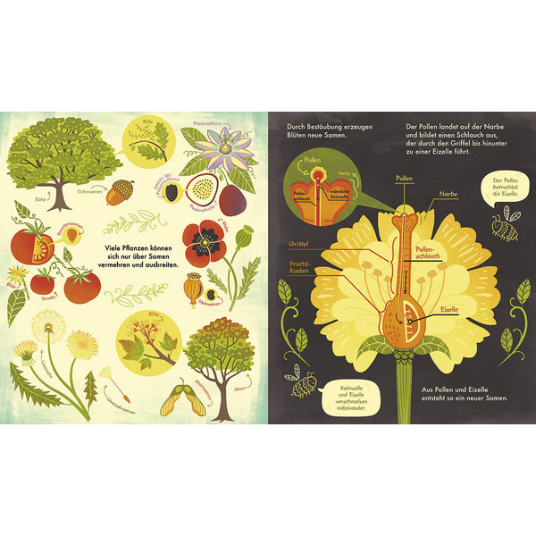DAS WUNDER EINER BLUME - Kinderbuch