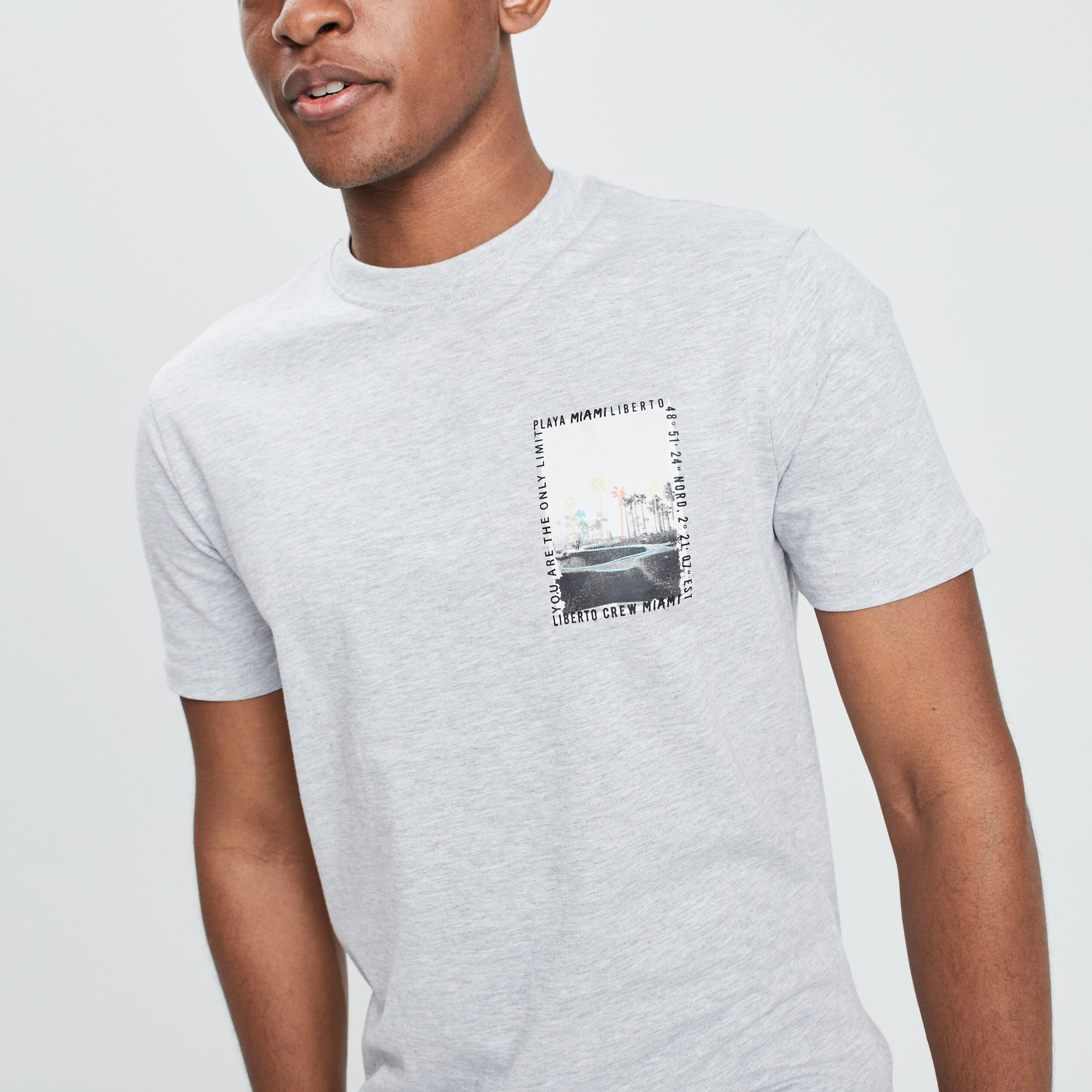 T-shirt Liberto gris clair homme | La Halle