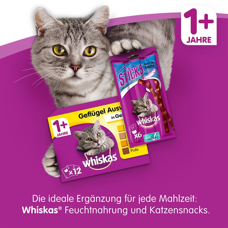Whiskas 1+ Sterile Huhn zu TOP-Preisen