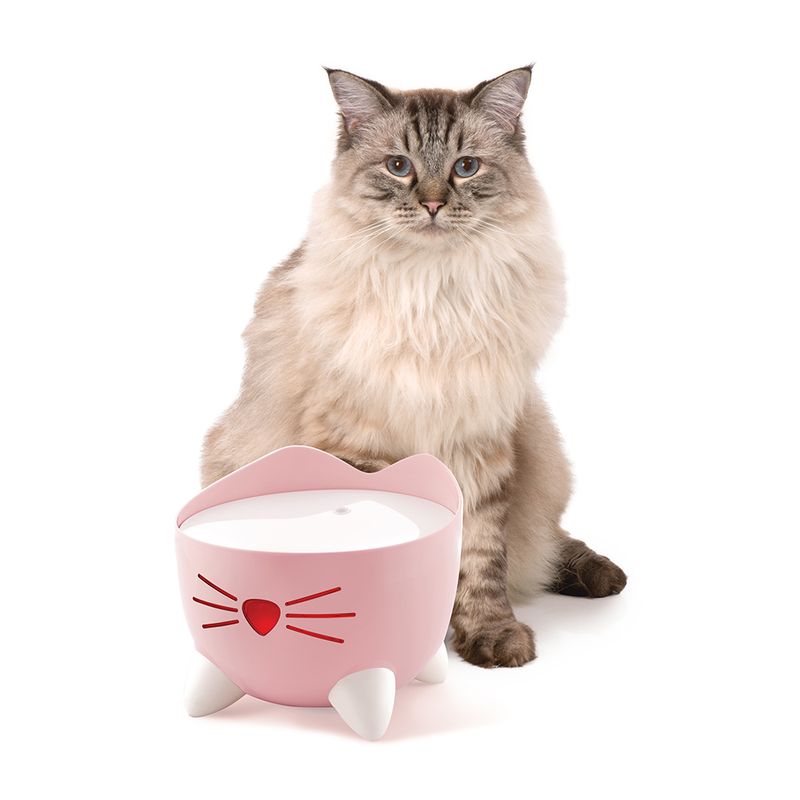 Catit PIXI Trinkbrunnen - pink zu TOP-Preisen