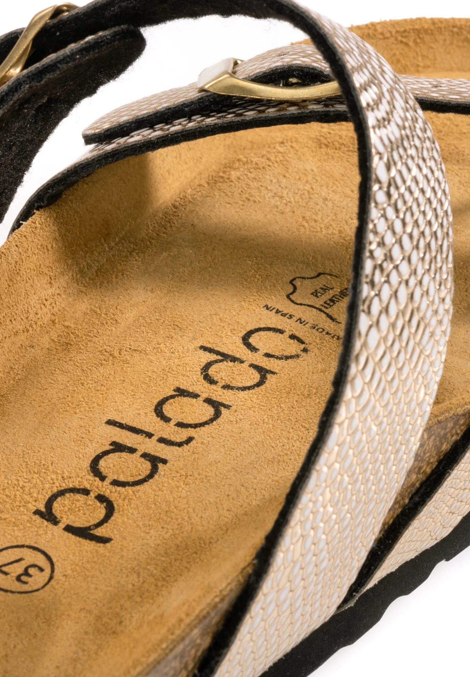 Palado CRES - Zapatillas