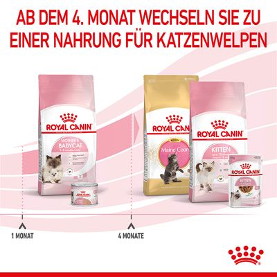 Royal Canin Mother & Babycat