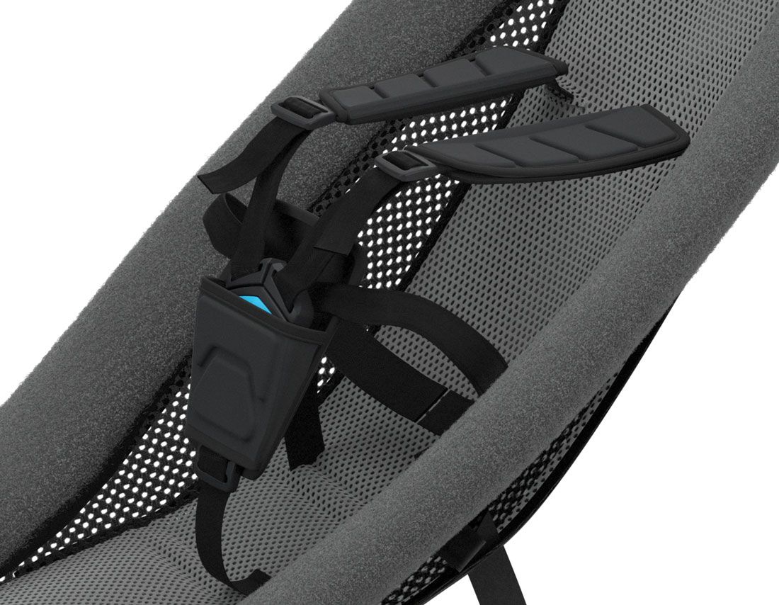 Thule Babysitz (ab 2017) kaufen | Bike-Discount