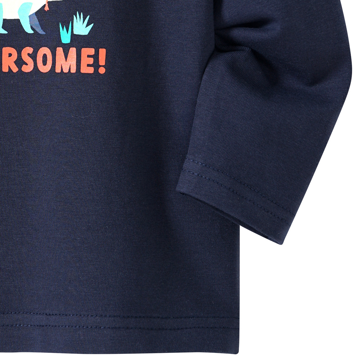 Baby Langarmshirt mit Dino-Print