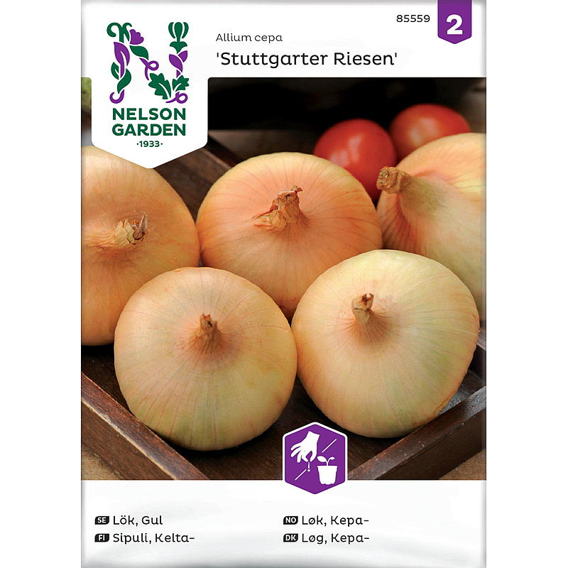 Nelson garden Frø Løk Kepa-, Stuttgarter Riesen, gul