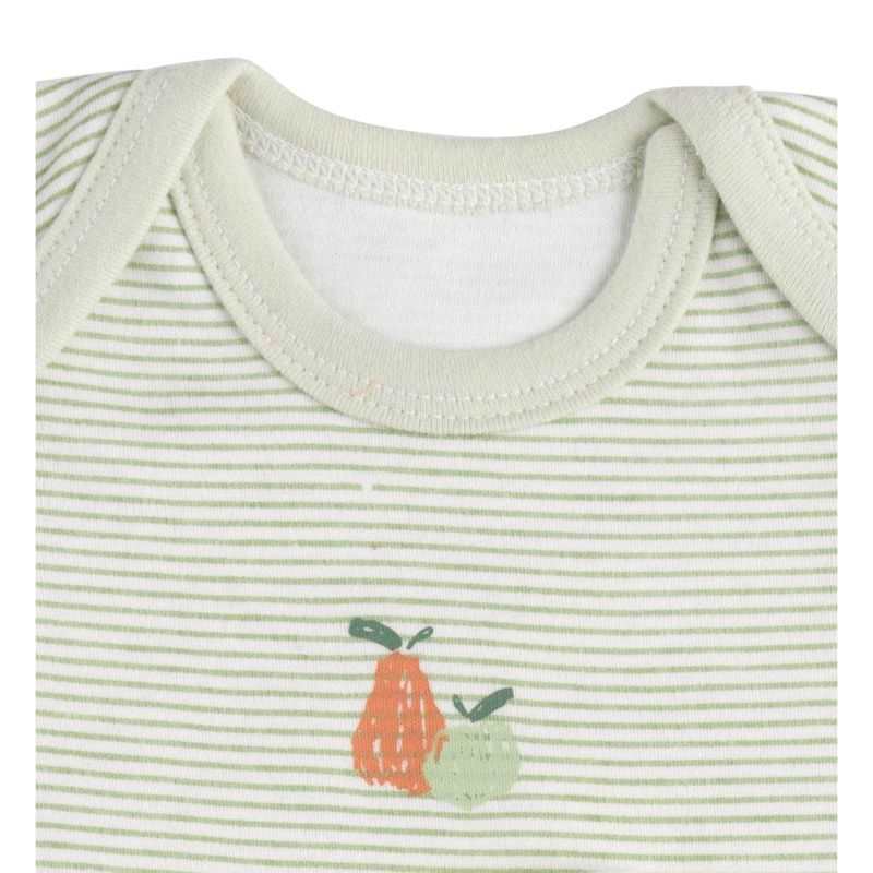 Lot de 3 bodies manches courtes Botanica