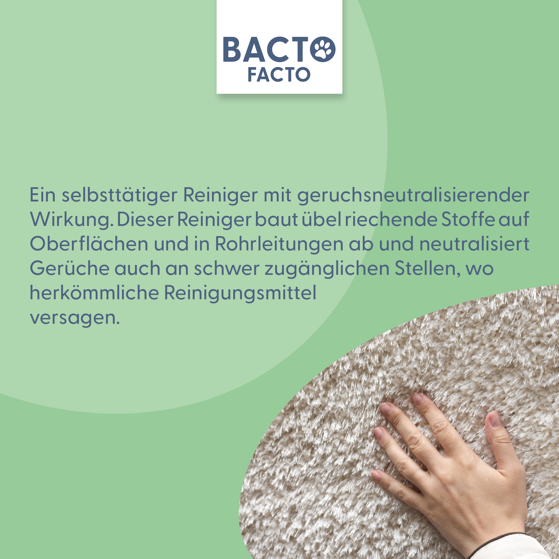 BactoFacto Käfigreinigung & Hygiene BactoFacto ALLin1 250ml Geruchsentferner Konzentrat zum Anmischen von 500ml