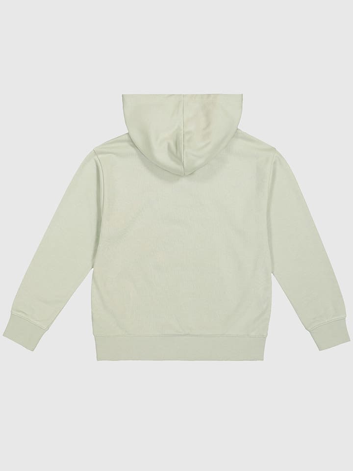 Champion Hoodie in Hellgrün günstig kaufen