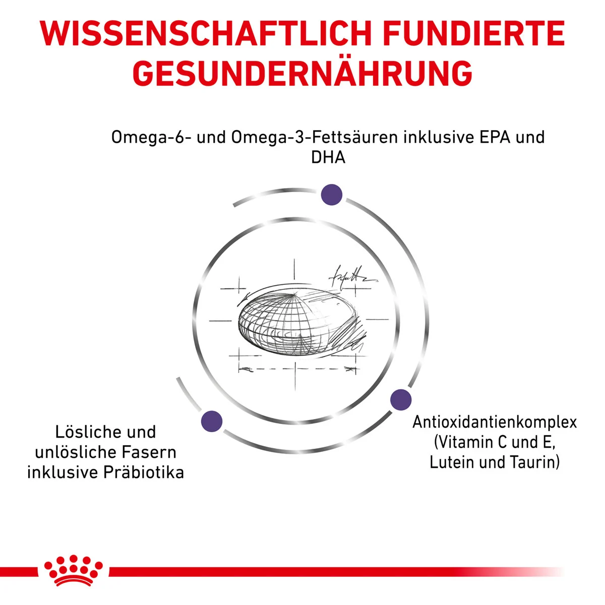 ROYAL CANIN Expert ADULT MEDIUM DOGS Trockenfutter für Hunde