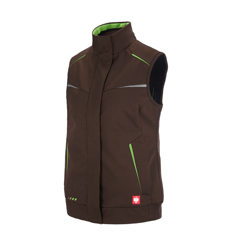 Winter Softshellweste e.s.motion 2020, Damen