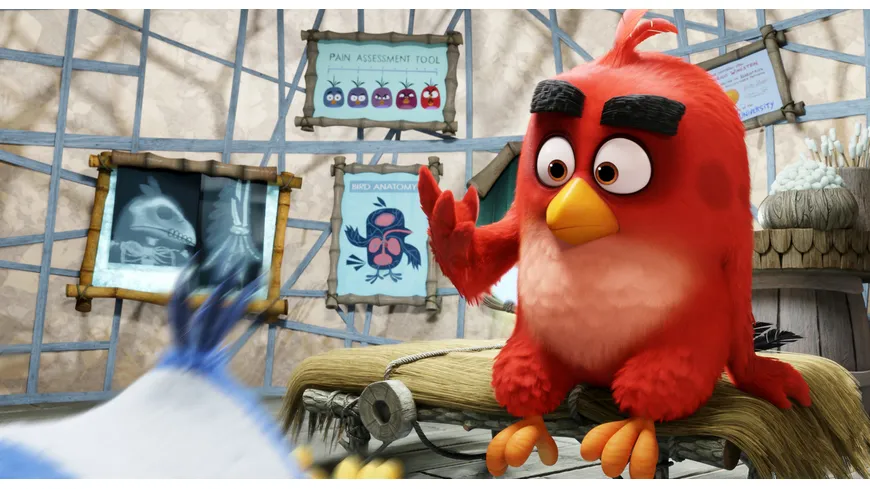 Angry Birds - Der Film