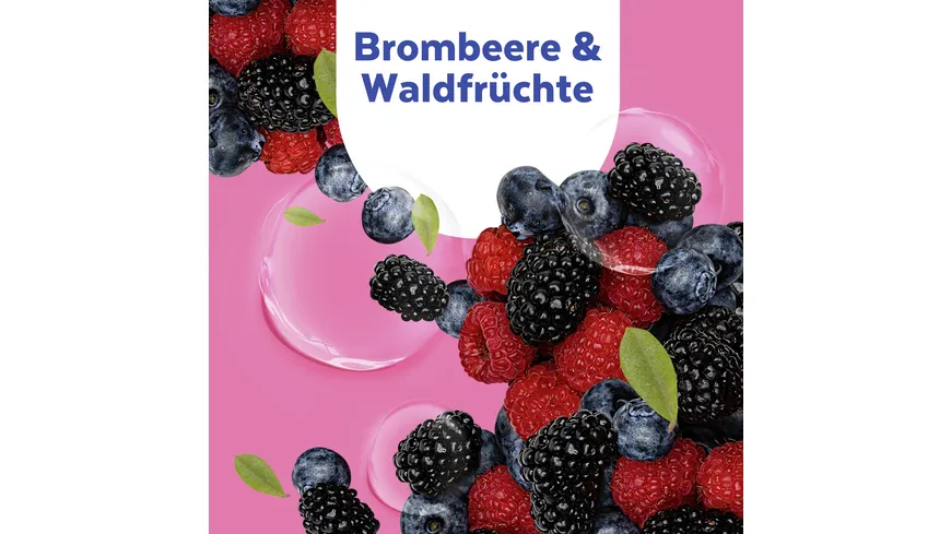 Sagrotan Hygieneseife Brombeere & Waldfrüchte 250 ml
