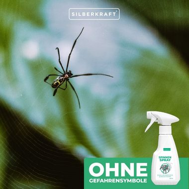 Silberkraft Insektenspray Spinnenspray, 250 ml, 1-St.