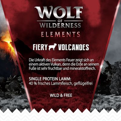 Wolf of Wilderness 