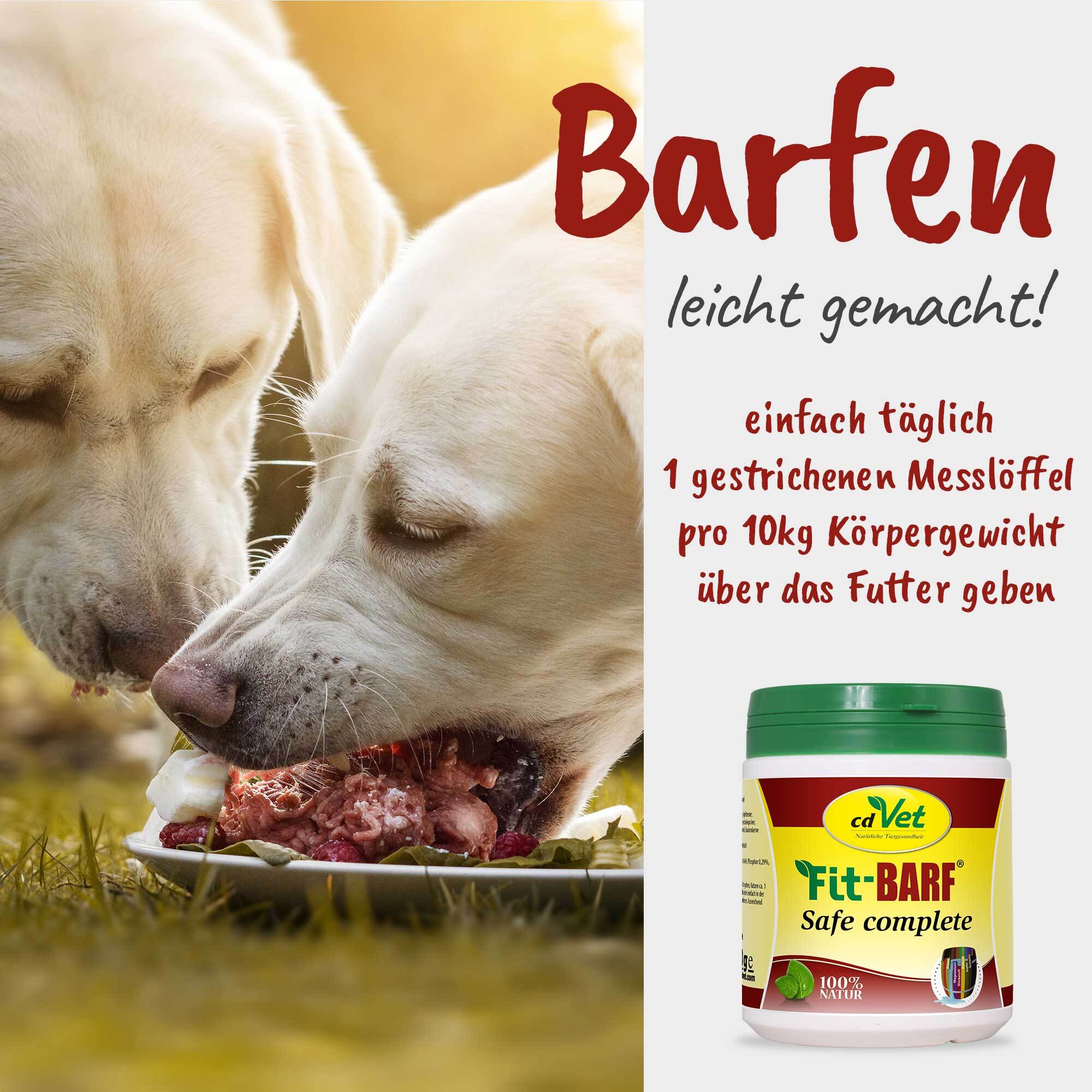 Fit-BARF Ergänzungsfutter & Aufzucht Fit-BARF SafeComplete 700 g