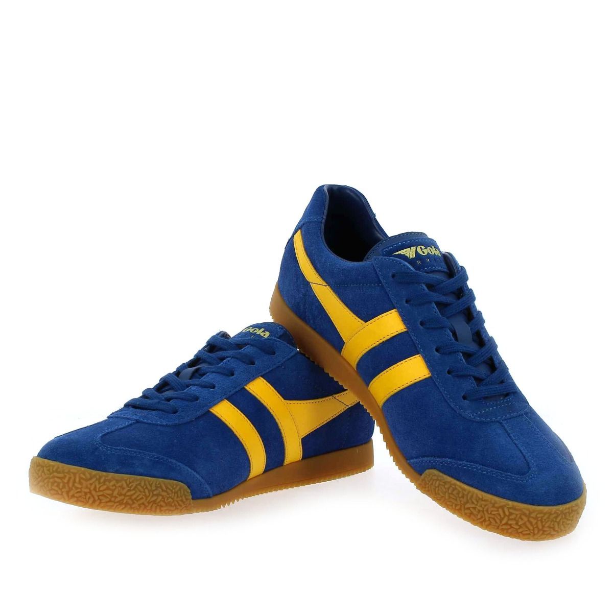 Gola  HARRIER GOLA CMA192 - Bleu Jaune