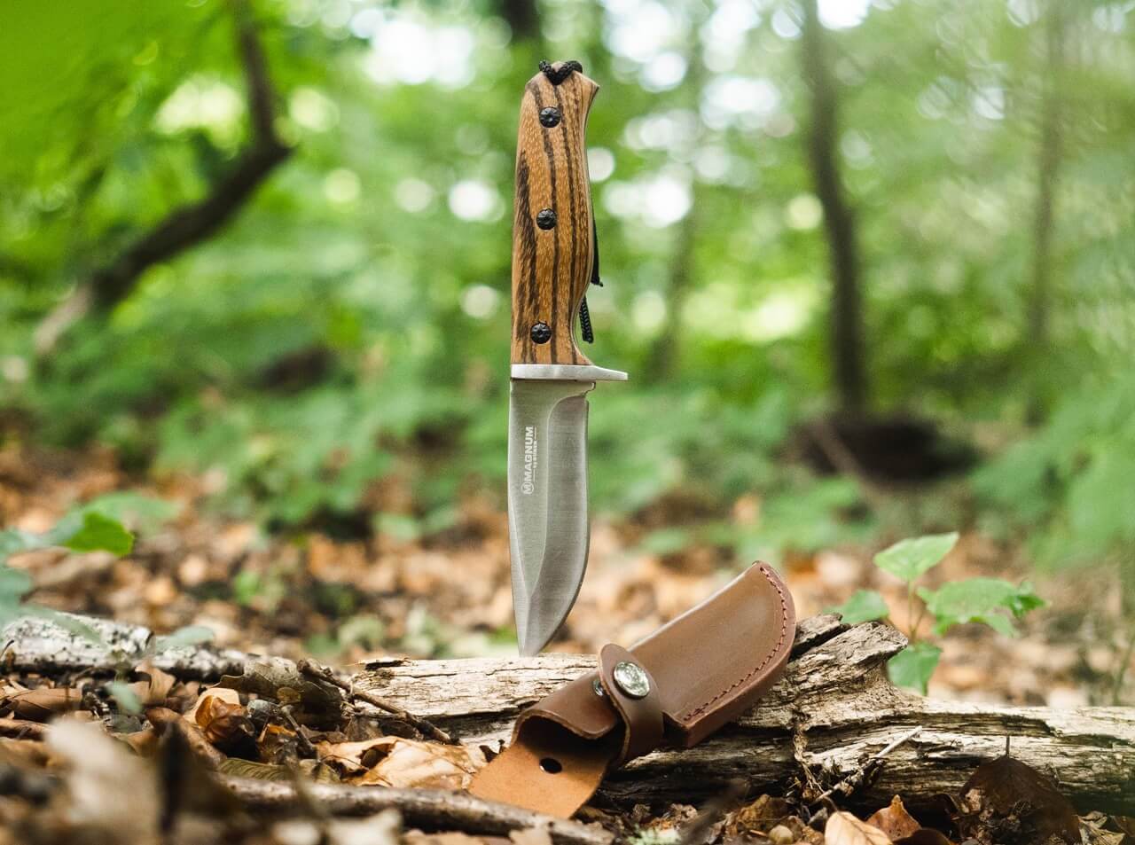 Zebra Drop